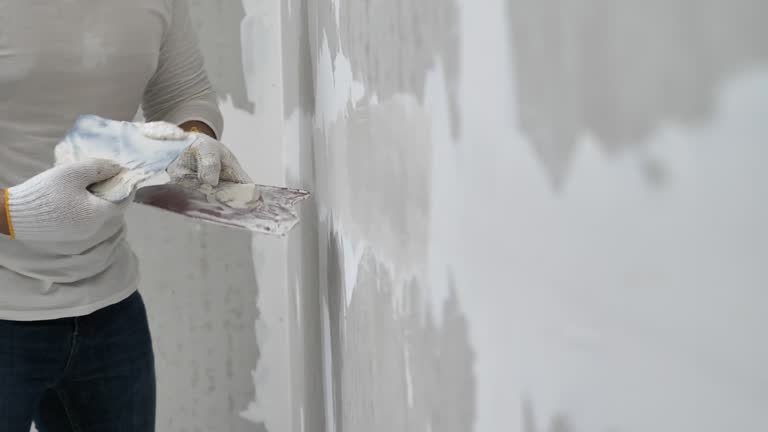 Professional Painting & Drywall Services in Reno, TX